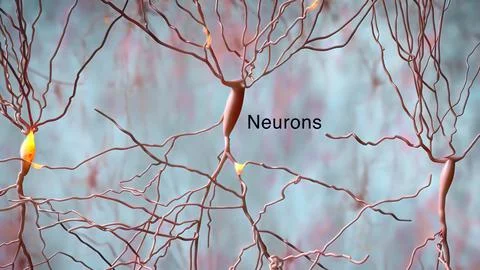 The human brain Neuron Neurons in action. electrical impulses Illustrazione stock