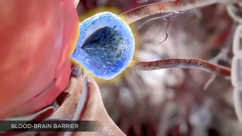 Human brain with neuronal impulses. Spinning. Glowing Light Particles Arrange Stock Illustration