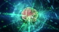 Human brain (with neurons) in cyberspace. 4k or 4k+ Resolution
