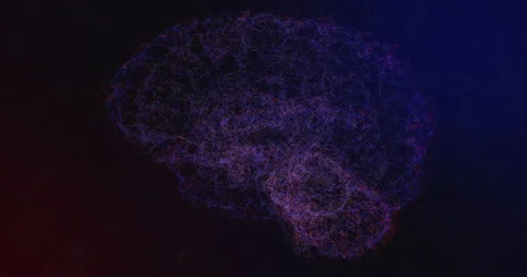 Human Brain Neurons Stock Footage 172364381
