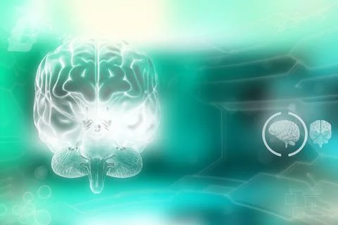 - human brain, neurosurgery analysis concept - highly detailed hi-tech texture Stock Illustration
