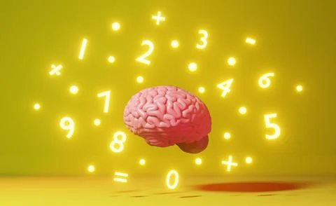 Human brain numbers math symbols 3d rendering Mathematics Algebra Learning Sk Stock Illustration