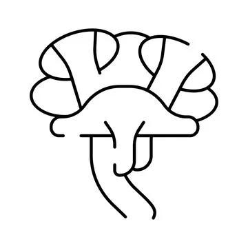 Human brain outline icon representing mind and intelligence Stock Illustration