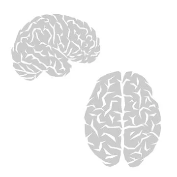 Human brain outline Stock Illustration