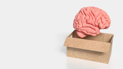 The Human Brain in paper box for creative or sci concept 3d rendering . Stock Illustration