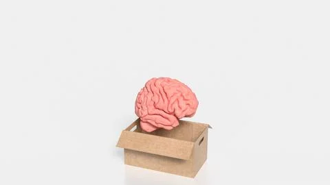 The Human Brain in paper box for creative or sci concept 3d rendering . Stock Illustration