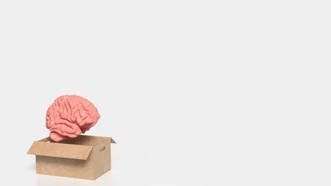 The Human Brain in paper box for creative or sci concept 3d rendering . Stock Illustration