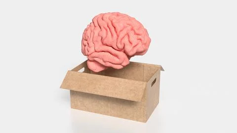 The Human Brain in paper box for creative or sci concept 3d rendering . Stock Illustration