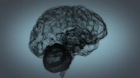 Human brain particles activity highlighted nervous system medical Stock Footage 33038880