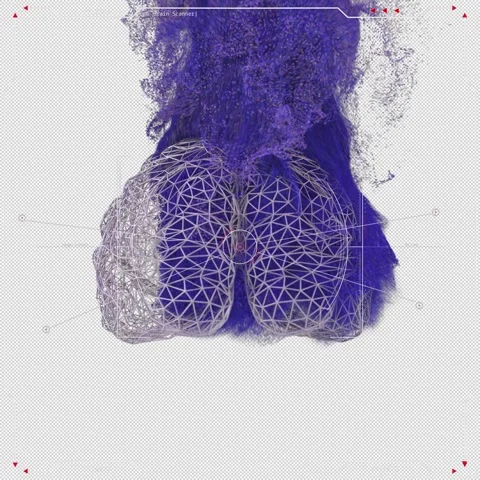Human Brain Particles Animation Stock Footage 247572607