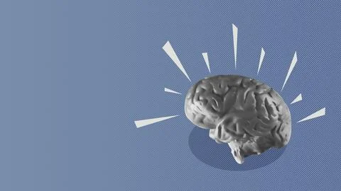 The human brain Foto stock