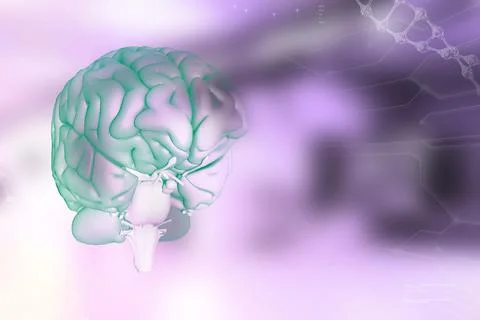 Human brain, physiology research concept , medical 3D illustration Stock Illustration