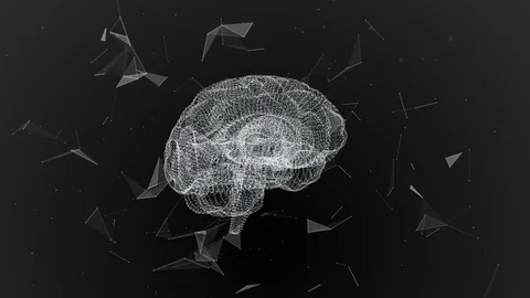 The human brain. Plexus. Beautiful background. The concept of science, medicine Stock Footage 81115611