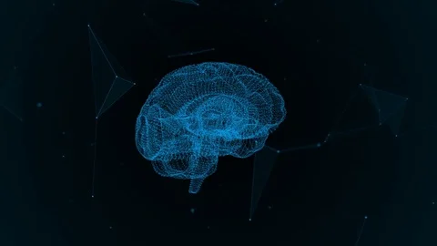The human brain. Plexus. Beautiful background. The concept of science, medicine Stock Footage 81158151