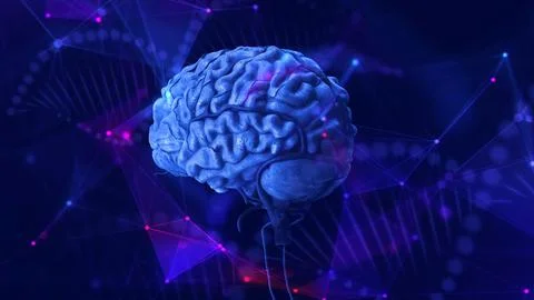 Human brain with plexus environment Stock Illustration