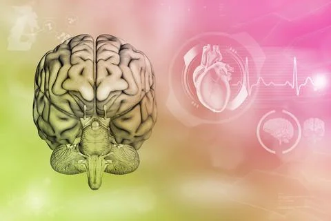 - human brain, psychology development concept - detailed hi-tech texture Stock Illustration