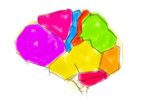 Human brain, realistic design elements 스톡 사진