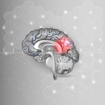 Human brain with red light Stock Illustration