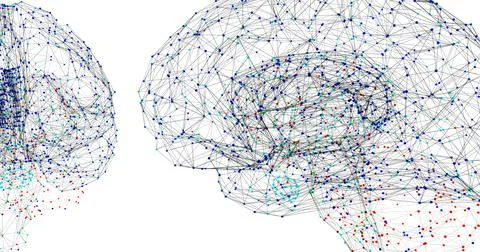 The human brain represented by light points connected by lines Stock Illustration