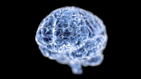 Human brain revolving in 3d space Vidéo 70580393