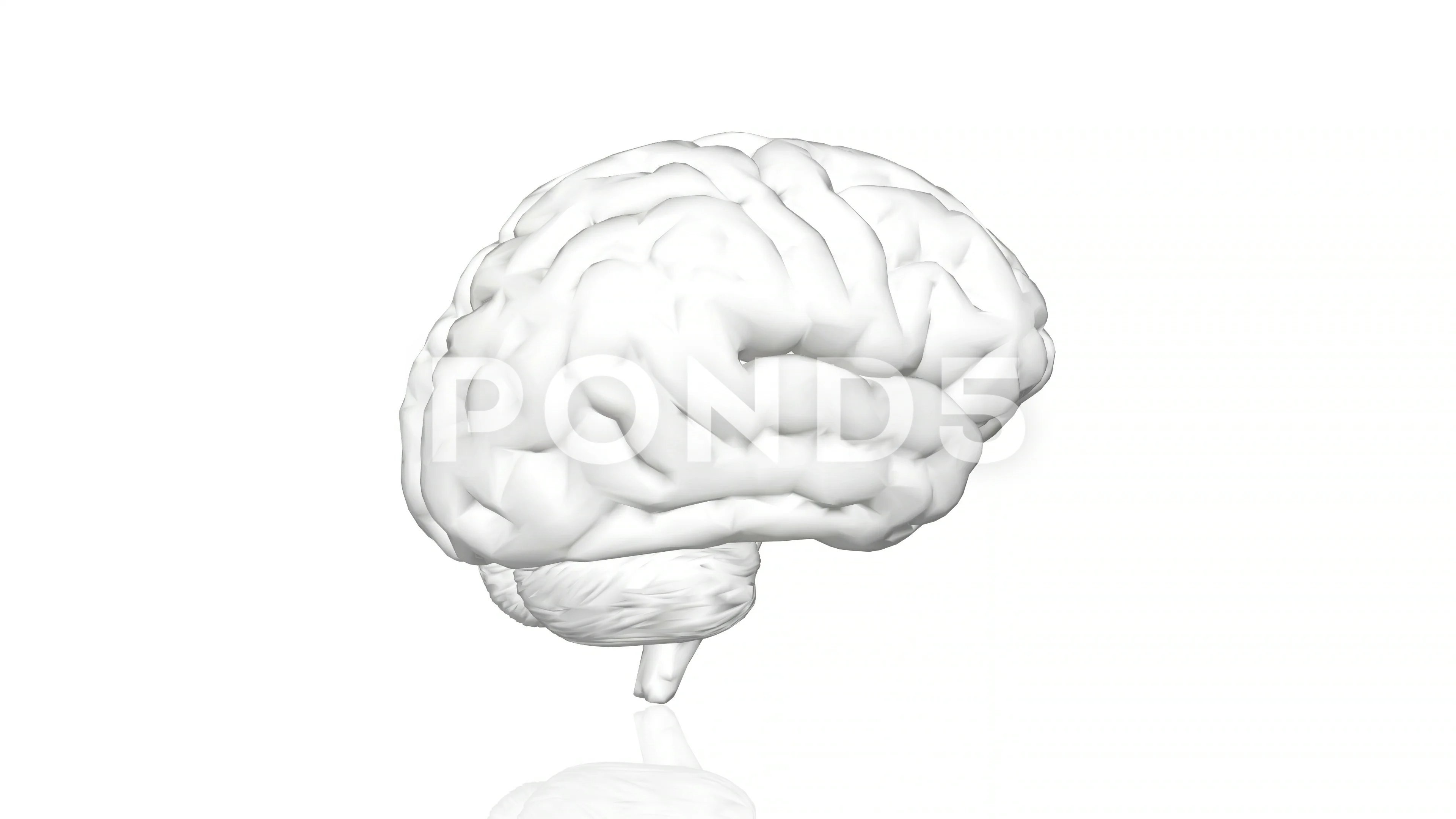 Human brain, rotating animation 3d. Arti... | Stock Video | Pond5