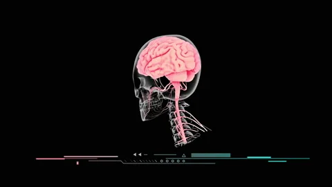 Human brain rotating in a technology background headshot Stock-Footage 168573206