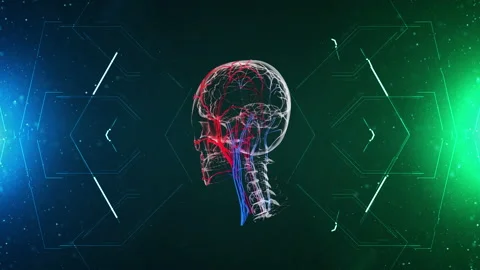 Human brain rotating in a technology background headshot Stock-Footage 168614068