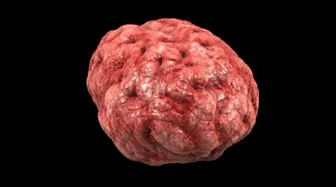 Human Brain Rotation w Alpha Video stock 8919305