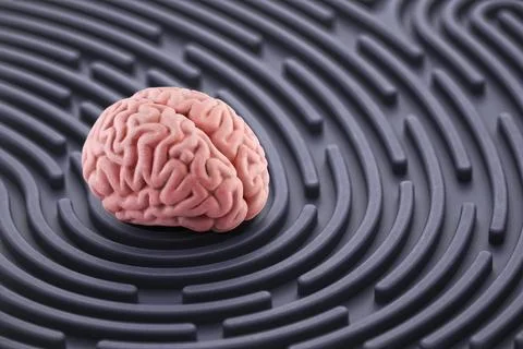 Human brain on round labyrinth. Concept of solving and strategic thinking. Stock Photos