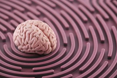 Human brain on round labyrinth. Concept of solving and strategic thinking. Stock Photos