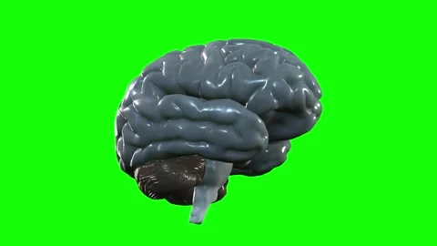Human brain running on its own axis with green background Stock Footage 167705603