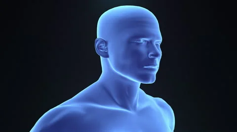 Human Brain Scan Stock Footage 61203150