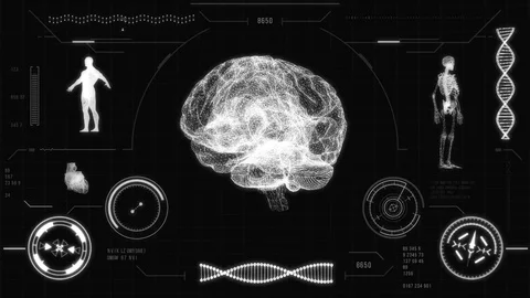 Human brain scan. Stock Footage 84991543