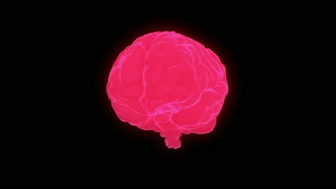 Human brain scan. Stock Footage 93923051