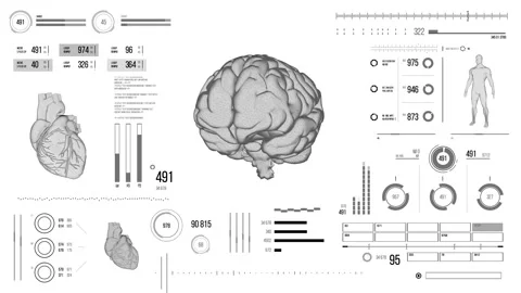 Human brain scan. Stock Footage 118877672