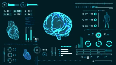 Human brain scan. Stock Footage 118877727