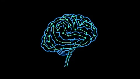 Human Brain Scan Low Polygon Mesh 2D Animation Stock Footage 117003327