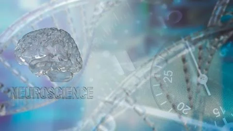 The Human brain for sci or medical concept 3d rendering. Stock Illustration