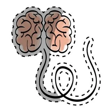Human brain scribble Stock Illustration