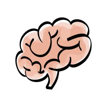 Human brain scribble Stock Illustration