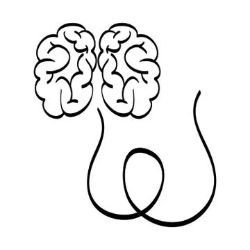 Human brain scribble Stock Illustration