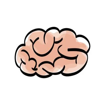 Human brain scribble Stock Illustration