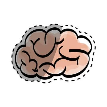 Human brain scribble Stock Illustration