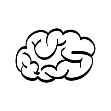 Human brain scribble Stock Illustration