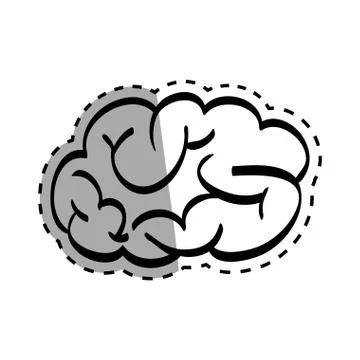 Human brain scribble Stock Illustration