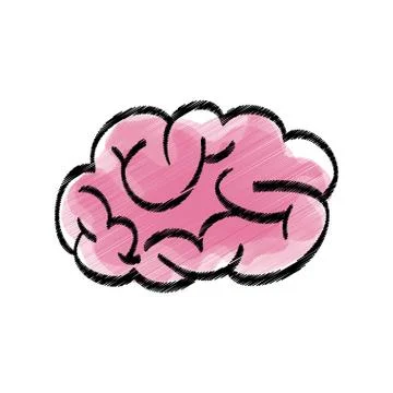 Human brain scribble Stock Illustration