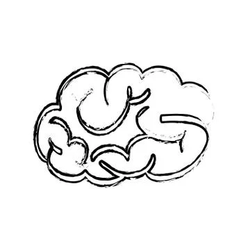 Human brain scribble Stock Illustration
