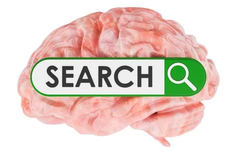 Human brain with search bar for information retrieval. 3D rendering イラスト素材