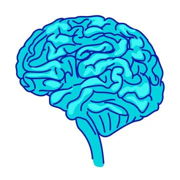 Human brain semi flat color vector element Stock Illustration