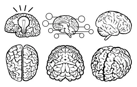 Human Brain Set Stock Illustration